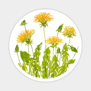 Dandelions Magnet